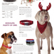 Illustration for article titled Fetchdog, Drs Fosters Smith: Howliday Humiliation For Dogs Cats